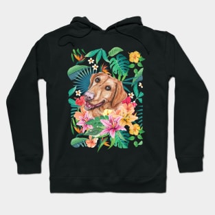 Tropical Labrador Retriever 5 Hoodie